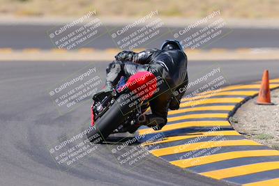 media/Oct-08-2022-SoCal Trackdays (Sat) [[1fc3beec89]]/Turn 11 Backside (1145am)/